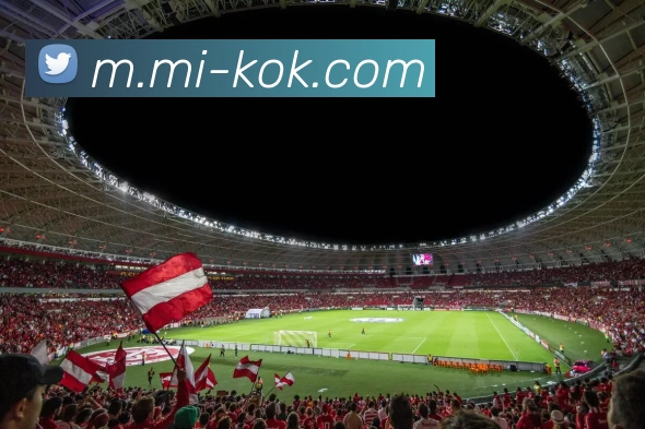 多媒体互动体验